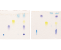 Principles of Thin Layer Chromatography
