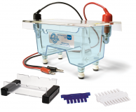 Agarose Gel Electrophoresis