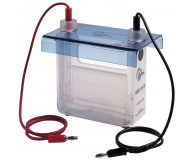 Vertical Electrophoresis