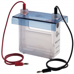 Agarose Gel Electrophoresis