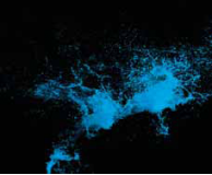 Experimenting with Forensics