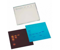 DNA GelSizer™