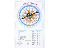 Classroom Molecular Biology Toys & Games