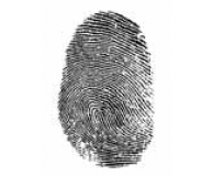 Traditional Techniques