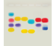 In Search of My Father