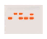 Mystery of the Crooked Cell