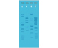 Ready-to-Load DNA Sequencing